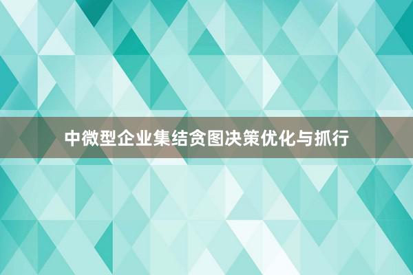 中微型企业集结贪图决策优化与抓行