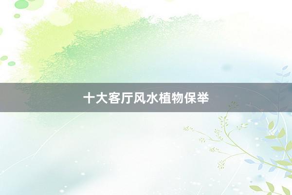 十大客厅风水植物保举
