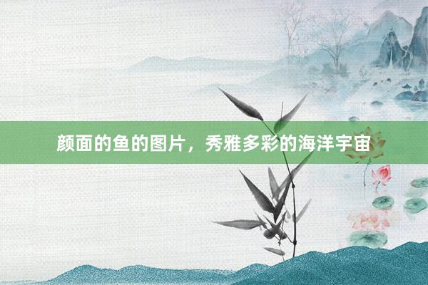 颜面的鱼的图片，秀雅多彩的海洋宇宙