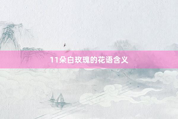 11朵白玫瑰的花语含义
