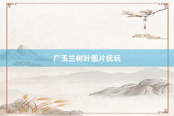 广玉兰树叶图片抚玩